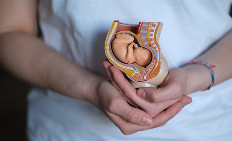 Exterogestação Doula