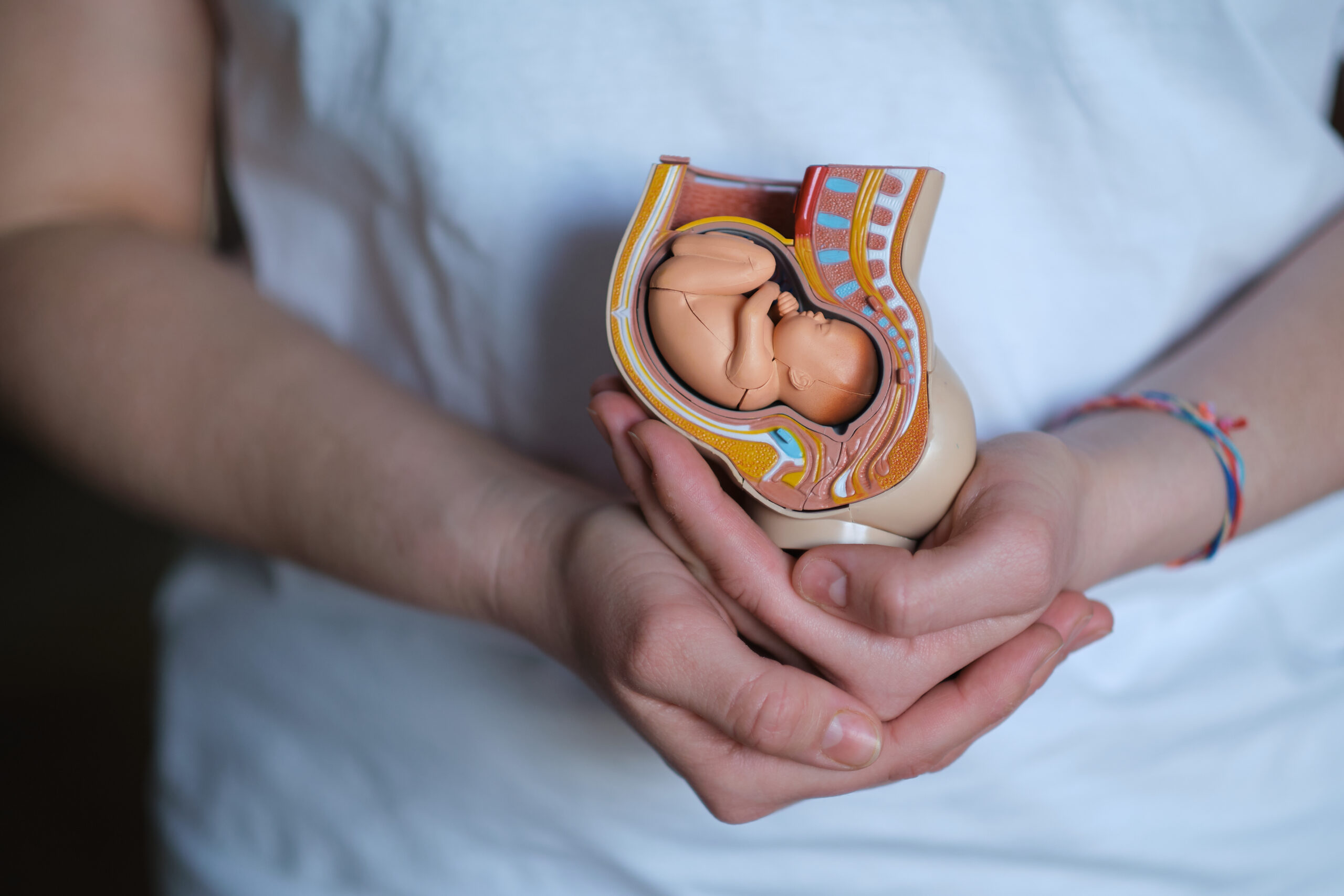 Exterogestação Doula